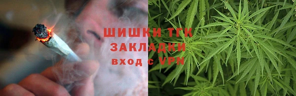 молекула духа Алексеевка