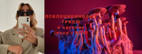 молекула духа Алексеевка